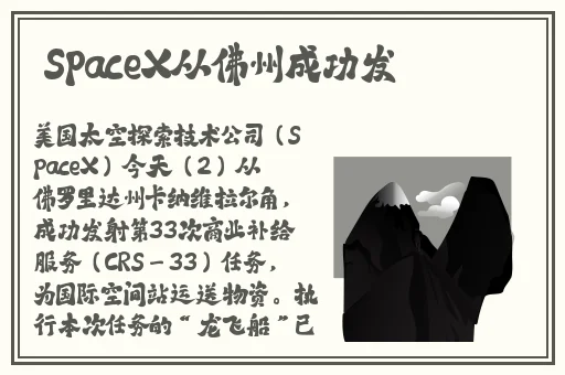精品熟水少妇AV免费久久